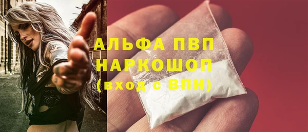 индика Кукмор