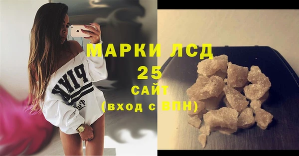 индика Кукмор
