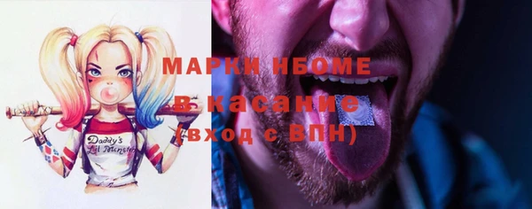 индика Кукмор