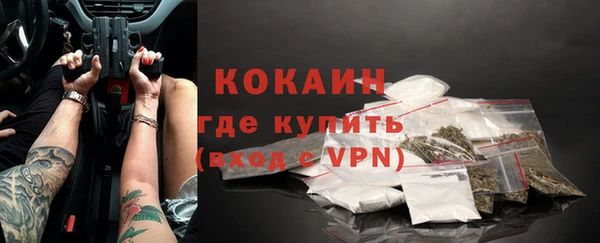 индика Кукмор