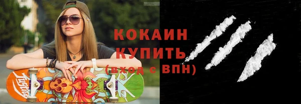 индика Кукмор