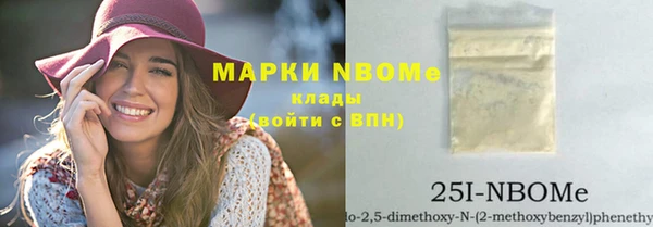 индика Кукмор