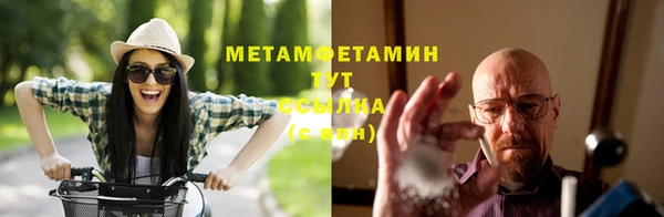 индика Кукмор