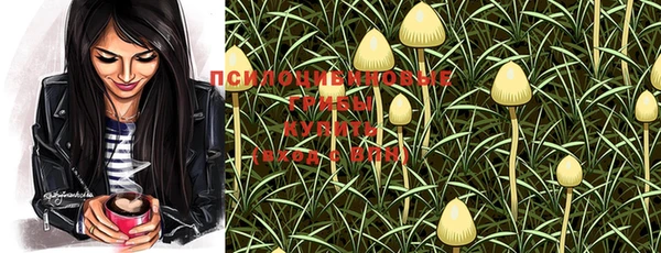 индика Кукмор