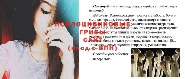 ПСИЛОЦИБИНОВЫЕ ГРИБЫ Куйбышев